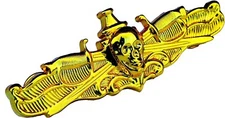 US Navy Surface Warfare Officer Skull Badge USN SWO Insignia Naval Golden Pin