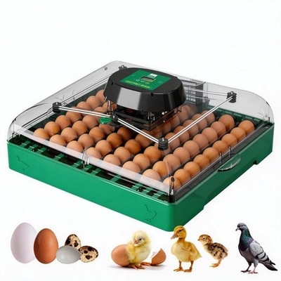 Egg Incubator for Chicken Eggs, Max 72 Egg Large Capacity with Automatic Egg