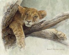 Robert Bateman - Up a Tree - Lion Cub - S/N Clasart Giclee Signed - MINT - 8x10