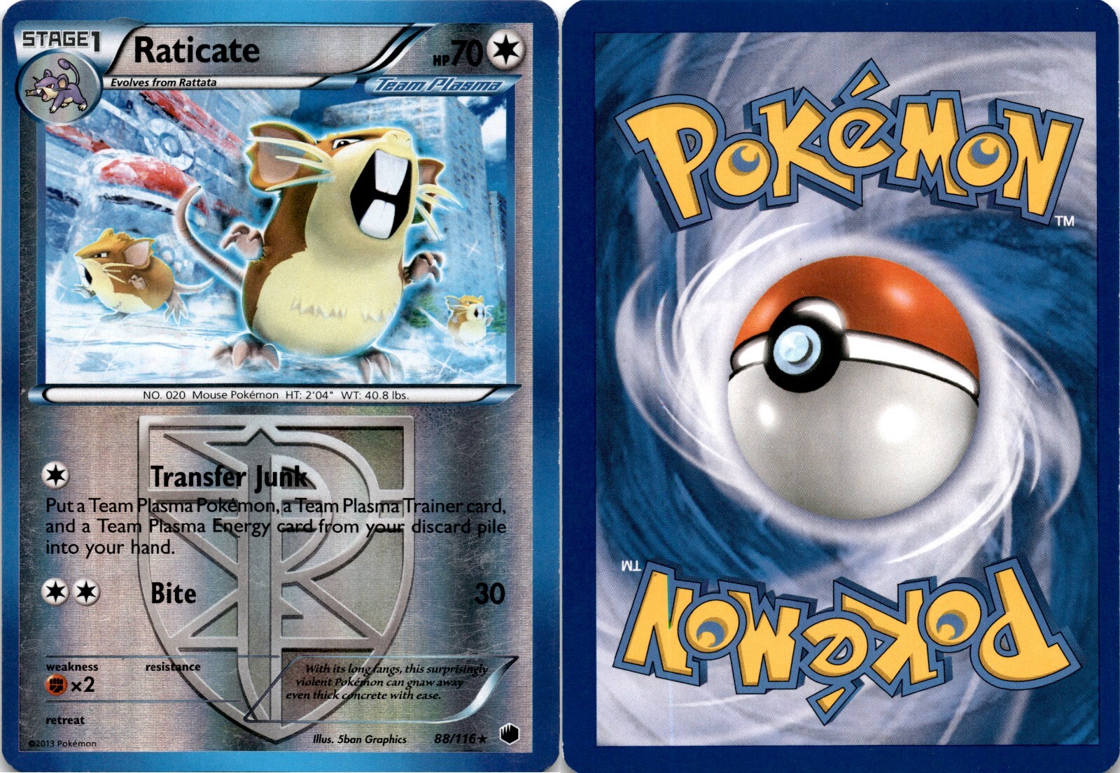 2013 Pokemon, Plasma Freeze, #88/116 Raticate, Reverse Holo Rare