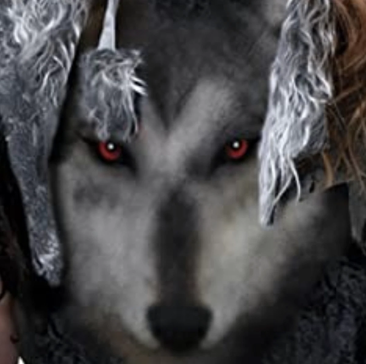 8+ Dog Wolf Costume