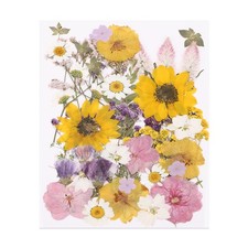 48 Pcs Dried Pressed Flower Leaves Bulk for Resin, Bohemian Color