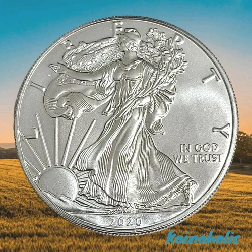 2020 $1 American Silver Eagle 1 Troy Oz .999 Fine Silver, Lower Mintage  *Covid*