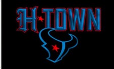 Bandera de los Houston Texans Town Bull 3x5 pies liquidación de stock con licencia