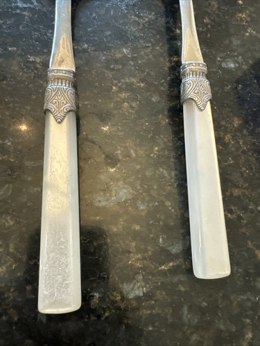 Serving Spoon Moonglow Acrylic Handles Made In Italy - Picture 2 of 4