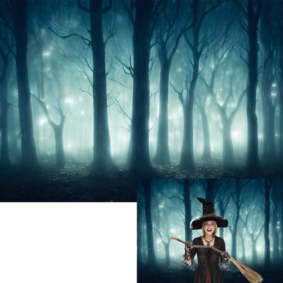 Spooky Dark Forest Backdrop Halloween Misty Gloomy Grove Swamp Background