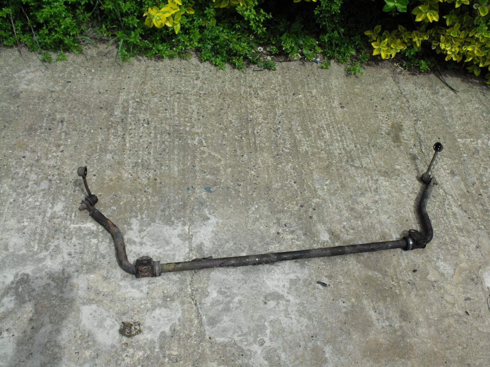 Picture 1