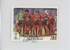 2014 Panini FIFA World Cup Brazil Album Stickers Team Photo Belgium #565 1hx0