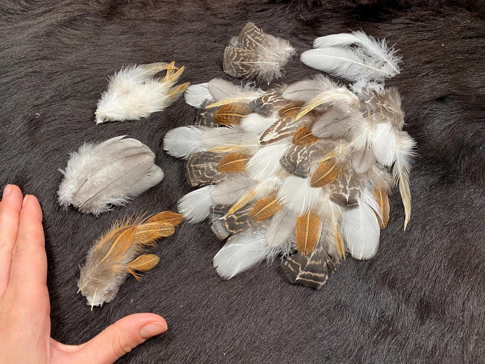 50er Federmix, 4-10cm, 5 Sorten, Hühnerfedern aus artgerechter Haltung, Naturfed - Bild 2 von 4