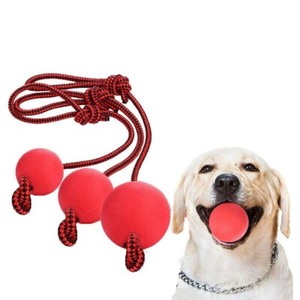 indestructible dog toys uk