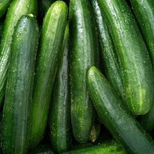 Marketer Cucumber Seeds 50+ Vegetable Garden HEIRLOOM NON-GMO US FREE SHIPPING