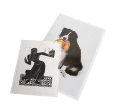 SAFE Posterhüllen Gigant für Formate A1 / A2 I im 5er Pack Folienstärke 0,2/0,3