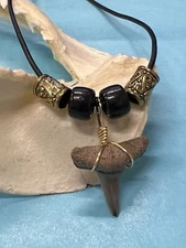 SHARK TOOTH NECKLACE ( Fossilized ) ..7/8 Inch LEMON Shark Tooth 