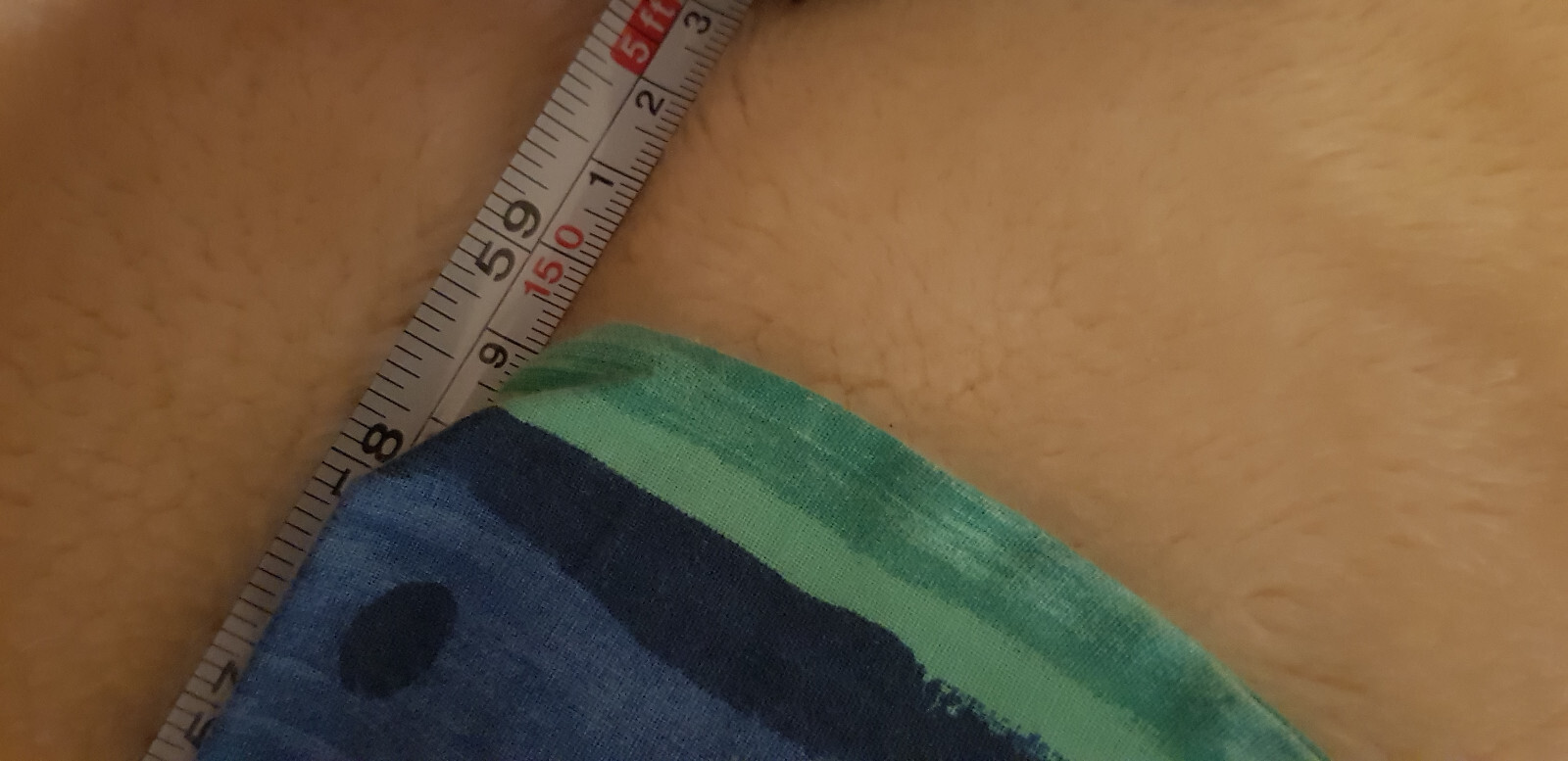 Foto 5 di 7
