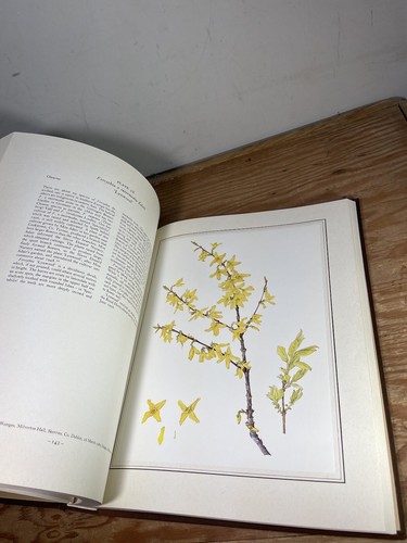 An Irish Florilegium Hardcover Wendy Walsh - 第 12/21 張圖片
