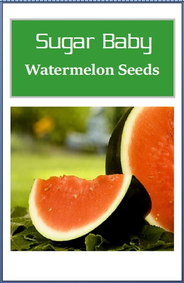 Semillas de sandía Sugar Baby | Semillas de sandía no transgénicas | Semillas de jardín de reliquia Foto 2 de 2