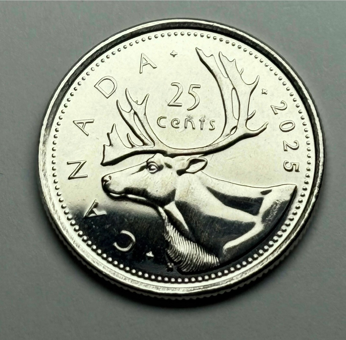 BOOGER ERROR! First Strike - Release Day 2025 Canada Quarter