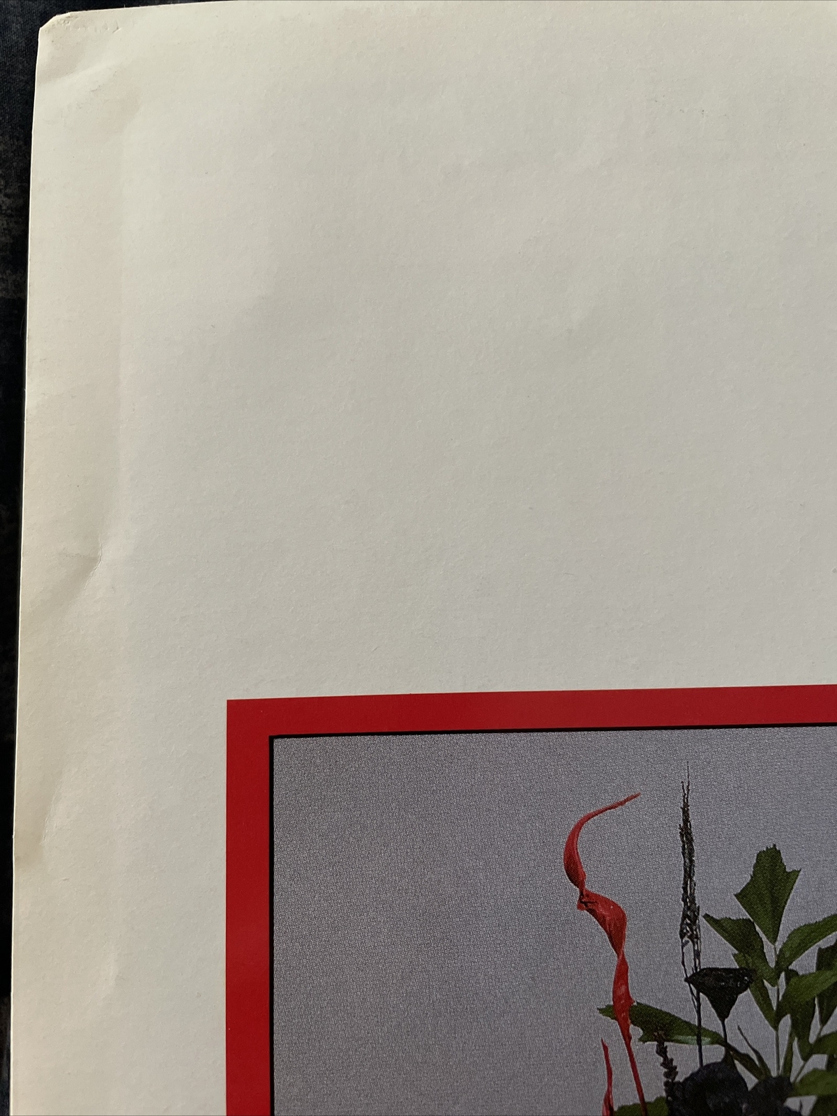 Picture 10 of 17