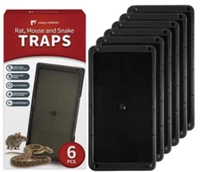 Super Glue Traps 6 Pack for Mice & Snakes, Larger, Heavier Sticky Traps with Non