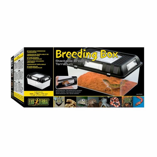 Exo Terra Plastic Stackable Breeding Box Tank Medium Terrarium Enclosure eBay