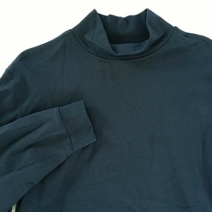 ll bean turtleneck mens