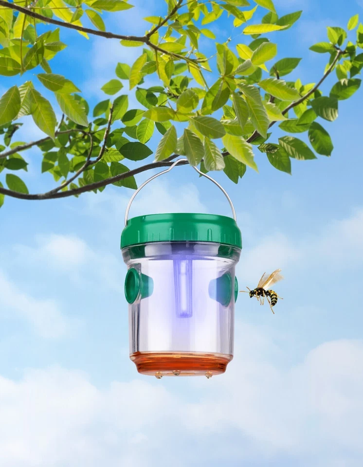 Grundig LED SOLAR Wespenfalle Mückenfalle Wespenschutz 3er Pack - Bild 2 von 4