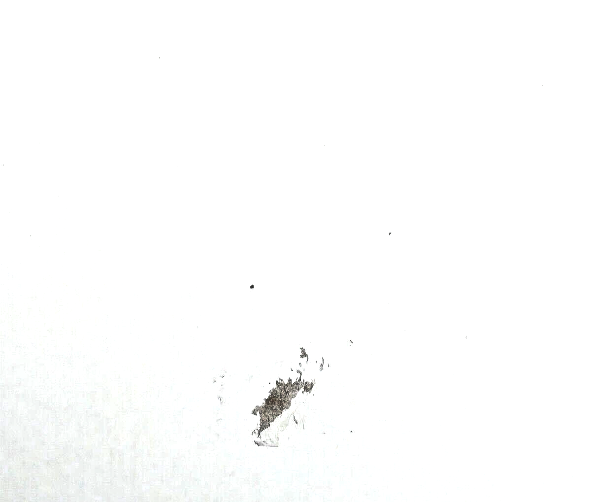 Picture 9 of 9
