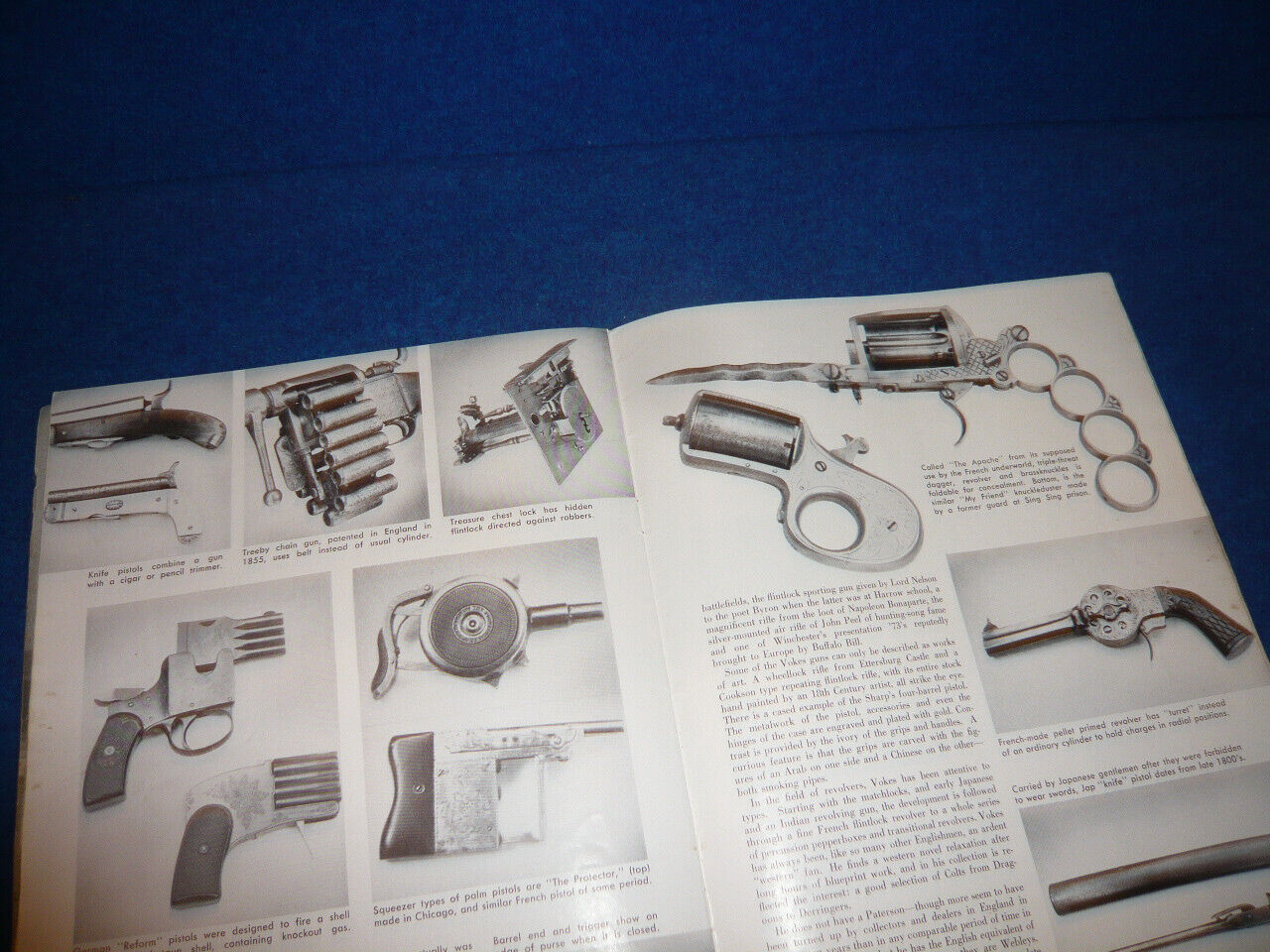 Picture 9 of 11