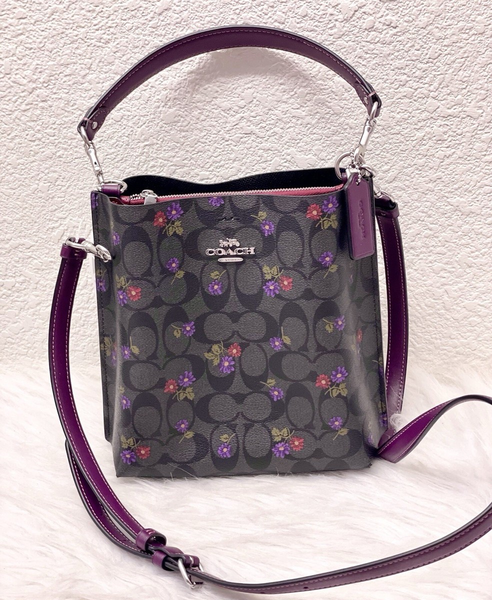 NWT coach Mollie Bucket Bag 22 In Signature With Country