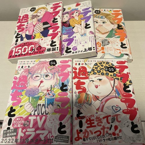 Fat, Love, And Mistakes 1, Volume 5 Set
