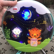 fisher price rainforest crib rail soother