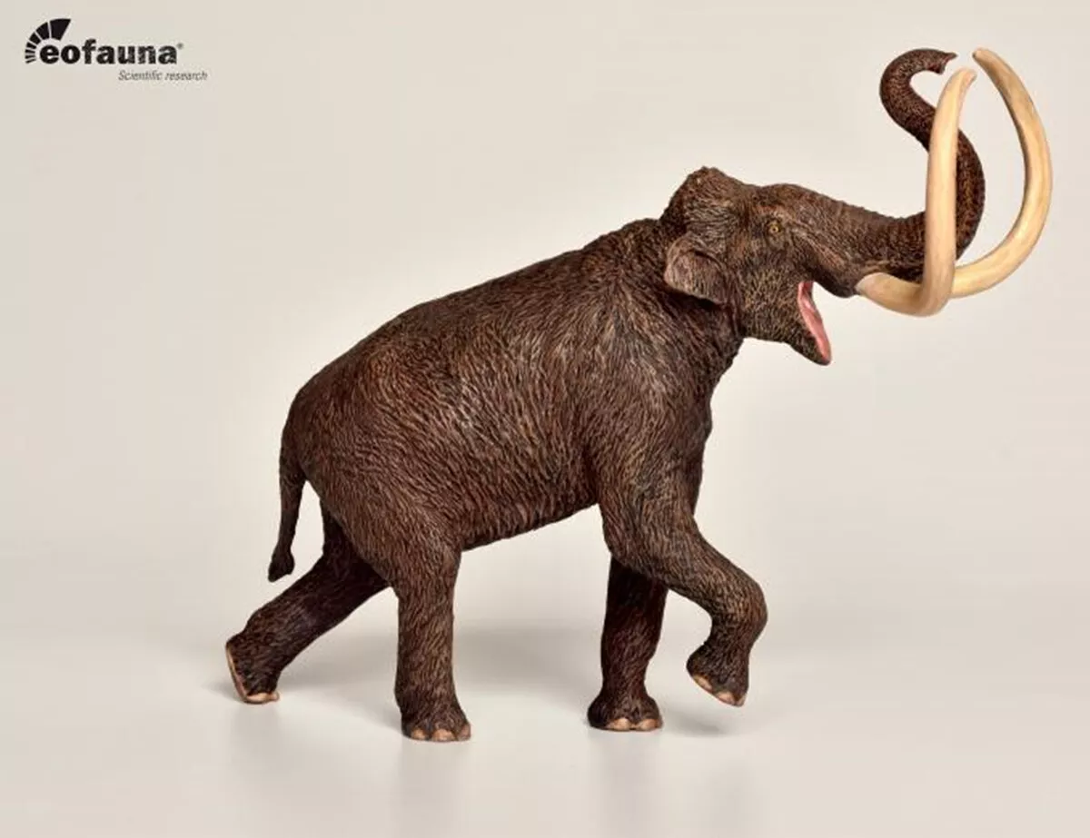 Deinotherium / Steppe Mammoth ( 1:40 ), Collecta / Eofauna, RobinGoodfellow_(m)