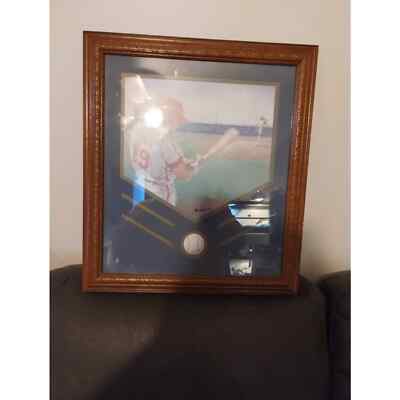 17'' x 15'' Desantis Framed Baseball Print