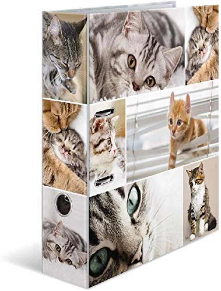 (TG. 1 Katzen) HERMA 7166 Cartone Multicolore cartella - NUOVO