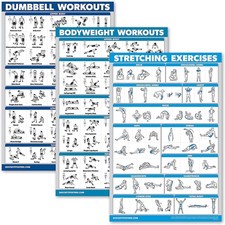 3 Pack - Dumbbell Workouts Bodyweight Stretching Poster