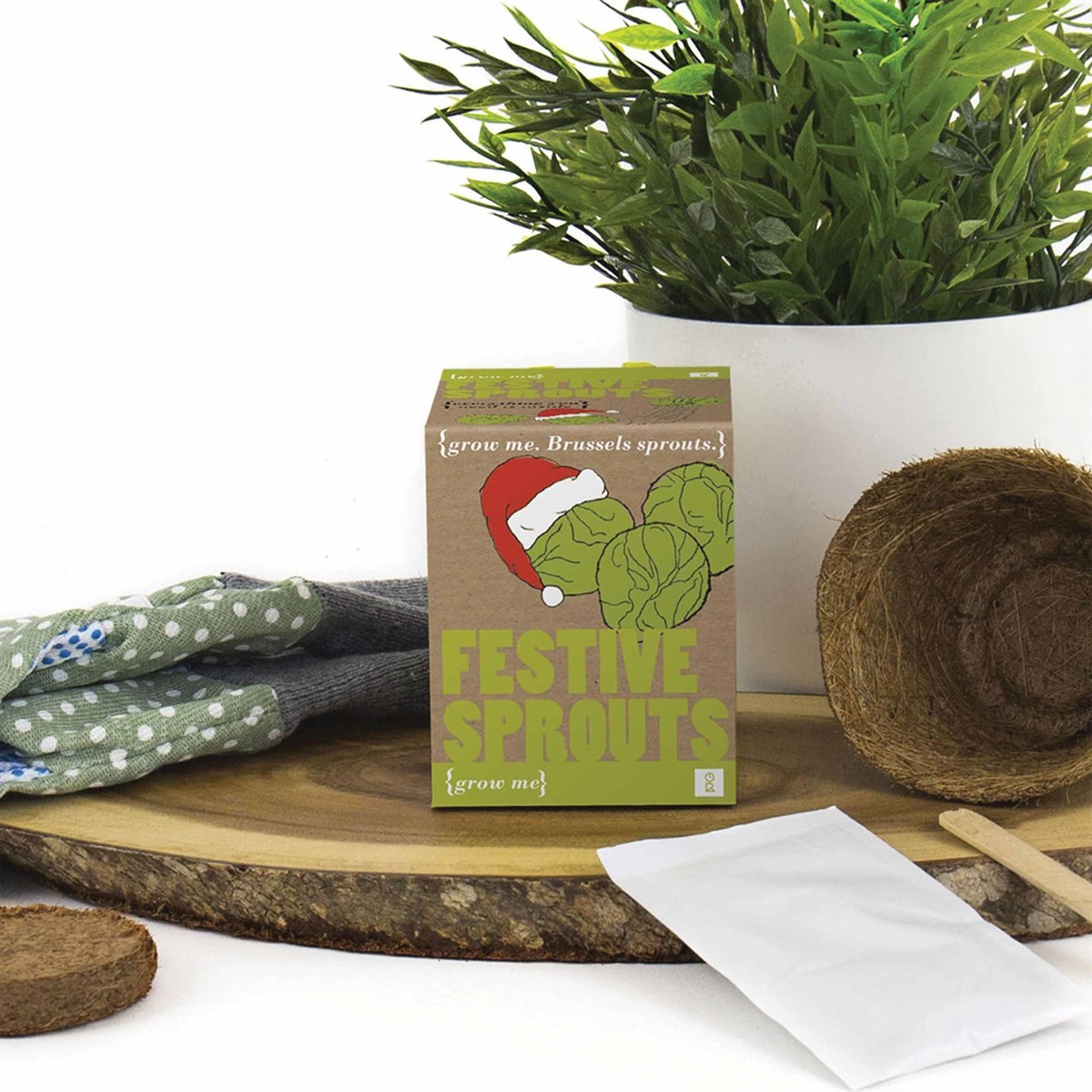 Grow Your Own Festive Sprouts, Jokes & Novelty, Lifestyle, Gift