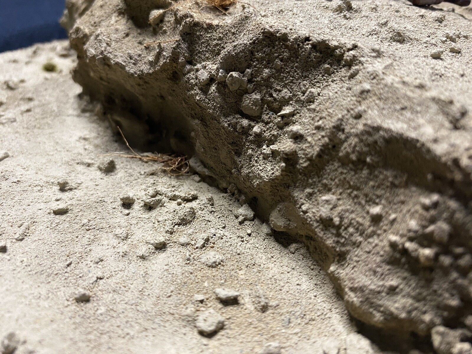 Bild 3 von 9
