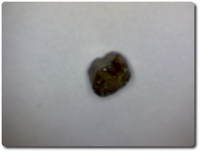 Zirkon. 0.7 cts. Burma