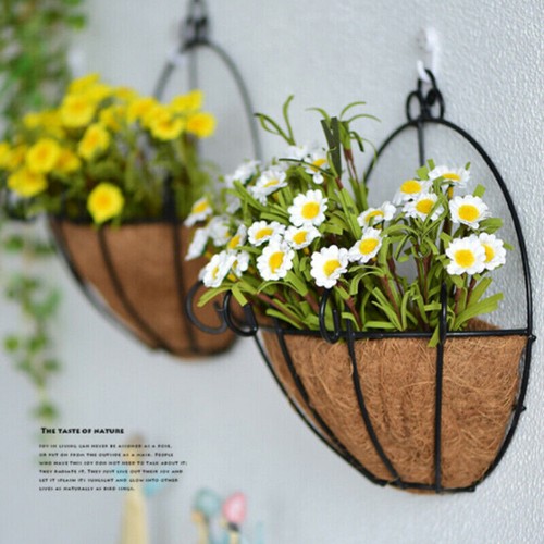 blumenampel kokoseinlage