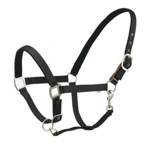 Centaur Solid Cushion Padded Breakaway Halter - Image 3 of 4
