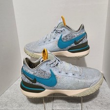 Nike Zoom LeBron NXXT Gen Blue Tint for Sale | Authenticity