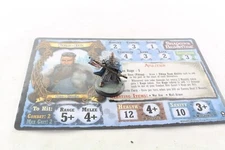 Shadows Of Brimstone Adventures Gates of Valhalla Viking Jarl Hero Painted