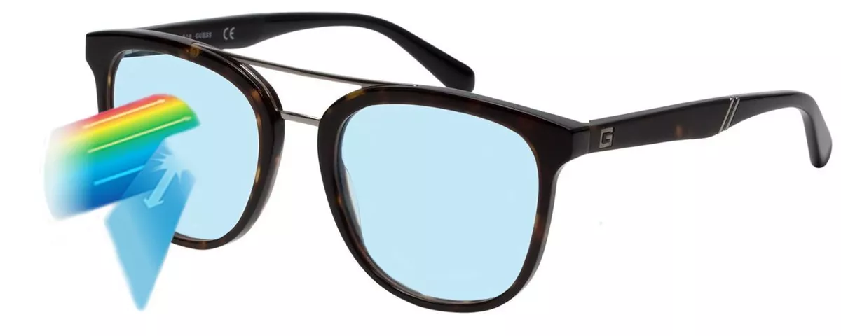 Komodo eyewear 2025