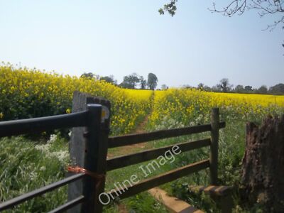 Photo 6x4 Through the crop Southrop/SP3532 The gradient eases as the foo c2011