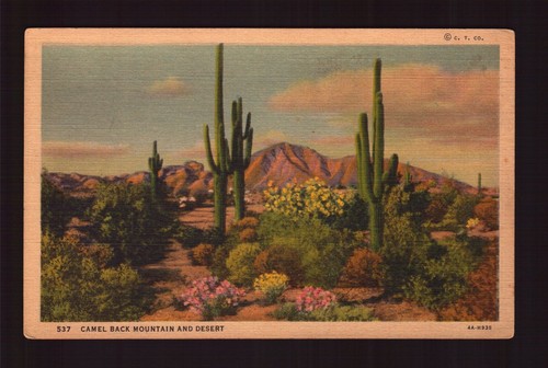 POSTCARD : ARIZONA - PHOENIX AZ - CAMEL BACK MOUNTAIN & DESERT LINEN VIEW