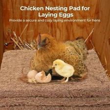 6PCS Natural Chicken Nesting Box Pads Hens Nest Bedding Mats Reusable Coconut