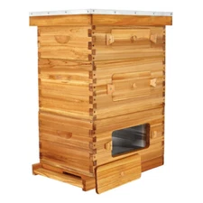 BeeCastle 10-Frame Langstroth Beeswax Coated Beehive with Plexiglass Windows
