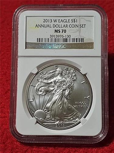 2013-W American Silver Eagle ASE Dollar NGC MS 70 ANNUAL DOLLAR COIN SET #T1310