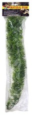 Zoo Med Natural Bush Plants Australian Maple Large