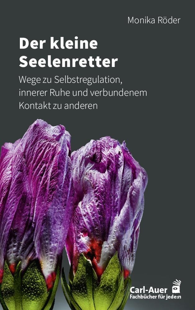 Bild 1 von 1